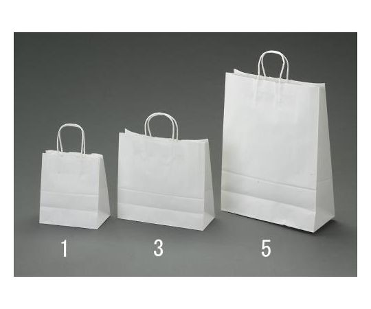 エスコ 紙袋（白無地/50枚）　210×120×250mm EA927SA-1 1セット(50枚入)(3)