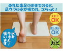 【おまとめお得な2個セット】フジワラ化学 NEW足乾バスマット 1個