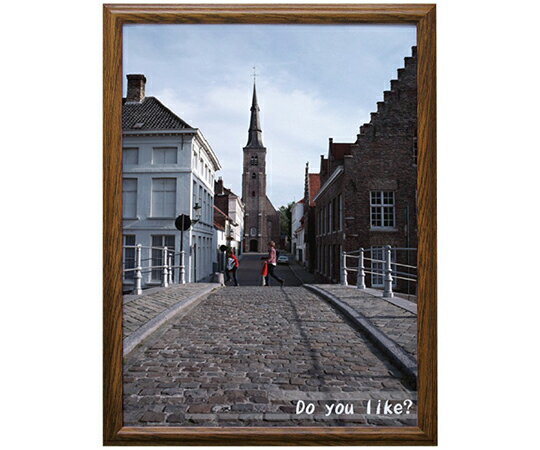 万丈 V　ポスター額　B2判　ブラウン VPF-B2BR 1個