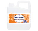 【おまとめお得な2個セット】サラヤ サラヤ洗濯用洗剤レギュラー5L 51768 1本(3)