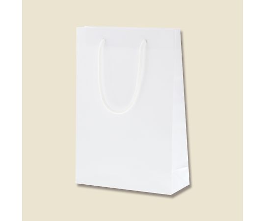 HEIKO 手提げ紙袋 ブライトバッグ SWT 白 10枚 1パック(10枚入) 006138201