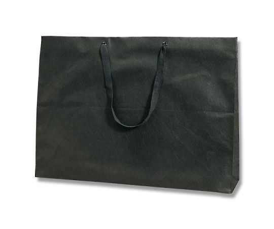 HEIKO 手提げ不織布袋　ファッションバッグ　Fタイプ　LL　黒　10枚 1パック(10枚入) 008738802