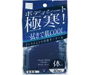 コーヨー化成 Cleshmen　ボディシート　クール　40枚入 1個(40枚入)