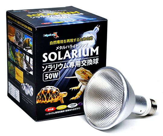 その他 SOLARIUM　（ソラリウム）50W交換球 1個