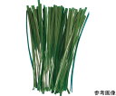 トラスコ中山 園芸用ビニールタイ 幅4mm×長さ100mm 緑 100本入 1袋(100本入) GVT100-100
