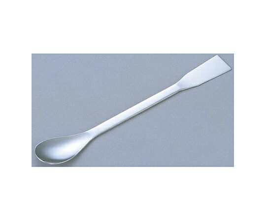 その他 ヘラつきステンレスさじ（10本組） 1組(10本入) F35-4000