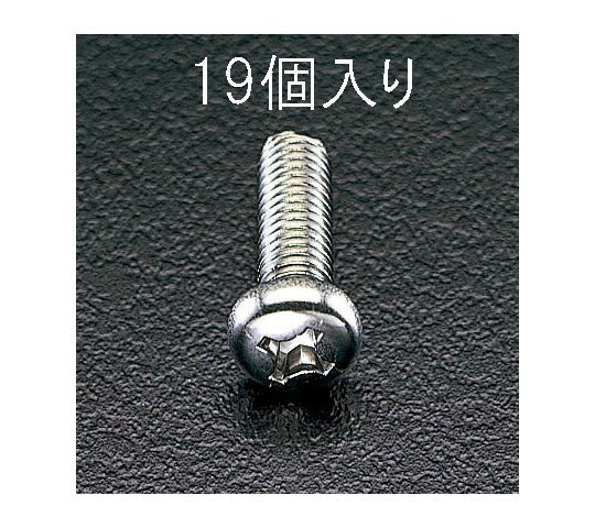 エスコ 鍋頭小ねじ ステンレス M6×30mm 19本 1パック(19本入) EA949SJ-64