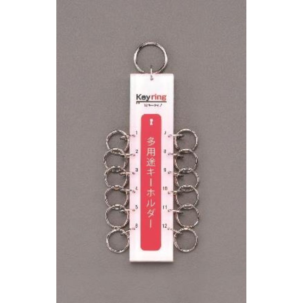 エスコ キーホルダー(12キー) 1個 EA956VD-11