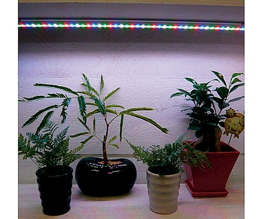 その他 植物育成補光用＋ディスプレイ用LED 1セット