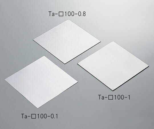 その他 タンタル板(100×100×0.1mm) 1個 Ta-□100-0.1