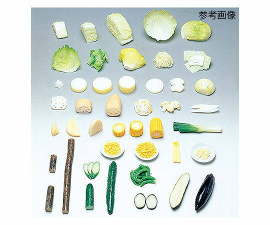 イワイサンプル フードモデル(野菜類・淡色野菜) とうもろこし(生)50g 1個 8-57