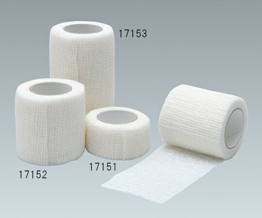 アルケア 自着包帯・フィックス　2号　10巻 1箱(10巻入) 17152