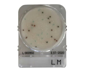 日水製薬 コンパクトドライ (リステリア・モノサイトゲネス/4枚×60袋入) 1箱(4枚×60袋入) 06532
