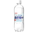 日本サンガリアベバレッジカンパニー 伊賀の天然水強炭酸水PET　500mL　24本 1ケース(24本入) 019141