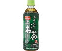 日本サンガリアベバレッジカンパニー 一休茶屋あなたの濃いお茶　500mL　24本 1ケース(24本入) 014719