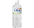 日本サンガリアベバレッジカンパニー 伊賀の天然水　600mL　24本 1ケース(24本入) 120977