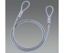 セキュリティワイヤー(ビニールコート) φ6.0mm×1.5m 1個 EA983TS-286A