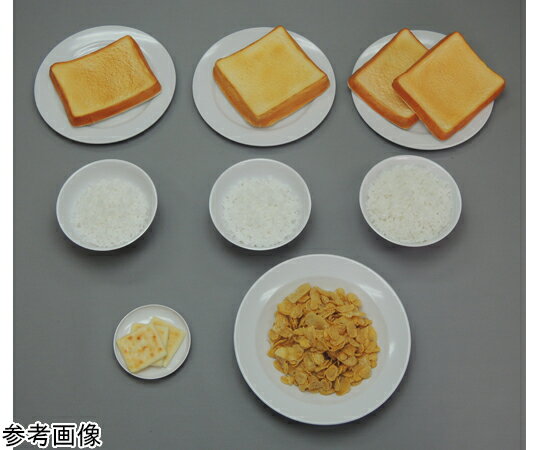 イワイサンプル 糖尿病フリーチョイス「主食」 トースト 90g （磁石なし） 1個 19-2