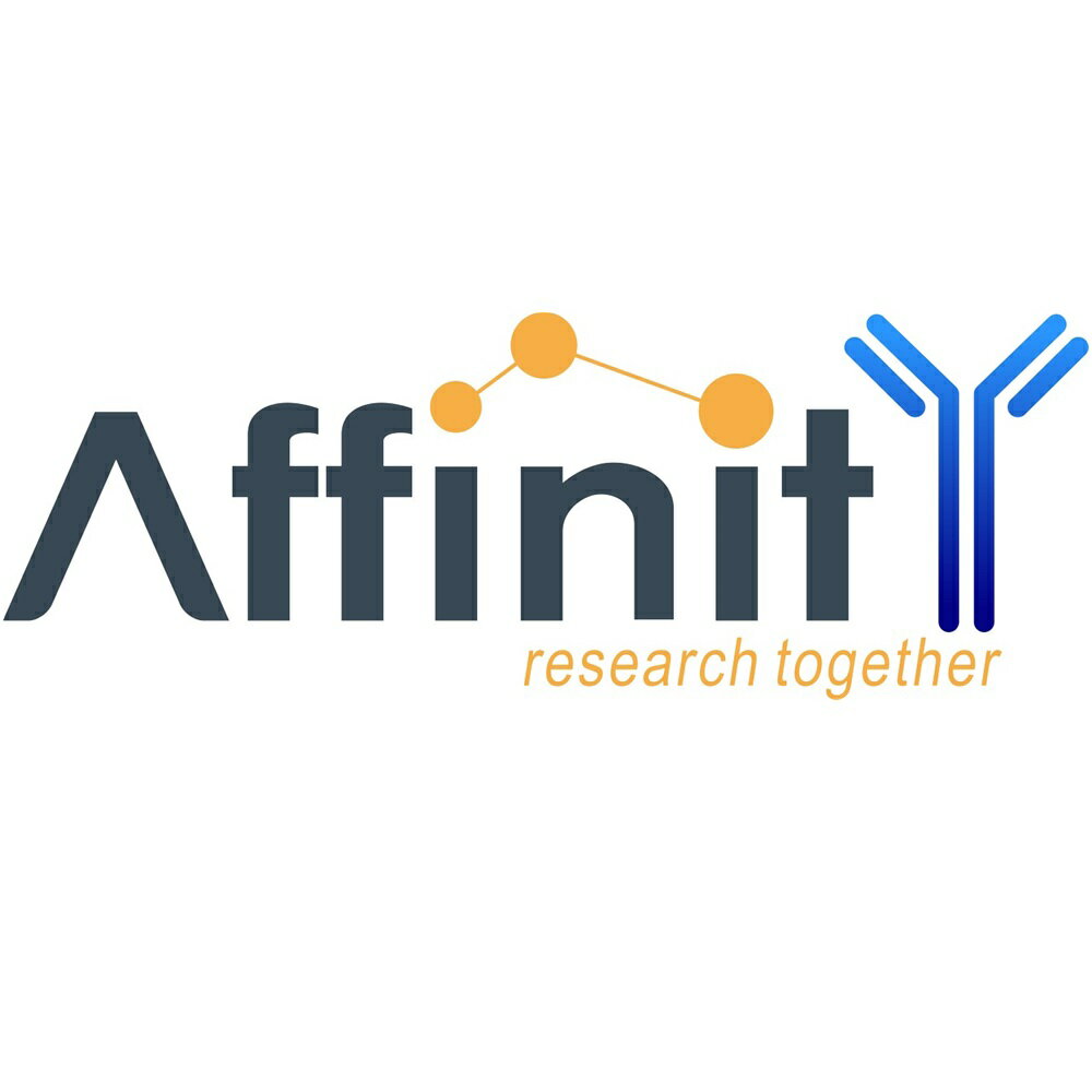 Affinity Biosciences Phospho-MAP4K4 （Ser801） Antibody 100ul 1個 AF3757