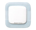 【おまとめお得な2個セット】コロプラスト フォーム状創傷被覆材 (バイアテン シリコーン+) 65×65mm 1箱(10枚入) 1箱(10枚入) 334353