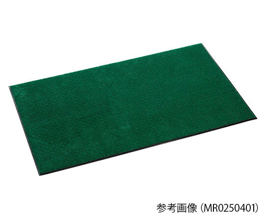 ƥ ƥ쥤ޥå 1 MR0250801