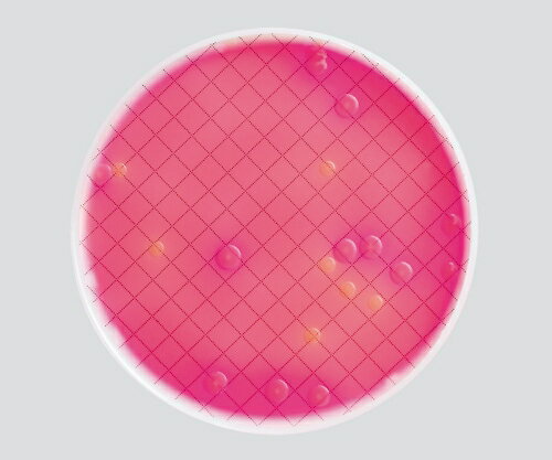 Merck ミリフレックスプラス用培地 マッコンキー寒天培地 1箱(24個入) MXSMCMC24
