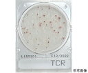 日水製薬 コンパクトドライ TCR (一般生菌数迅速測定用/4枚×60袋) 1箱(4枚×60袋入) 06540