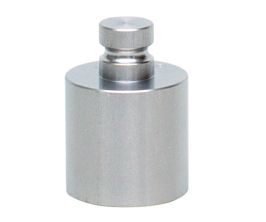 村上衡器製作所 ニュートン分銅 精密分銅型 0.5N 1個