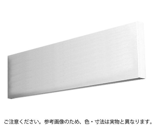 神栄ホームクリエイト 一般室名札 (突出型) 幅250×高60mm 無地 1個 SK-AN-1T