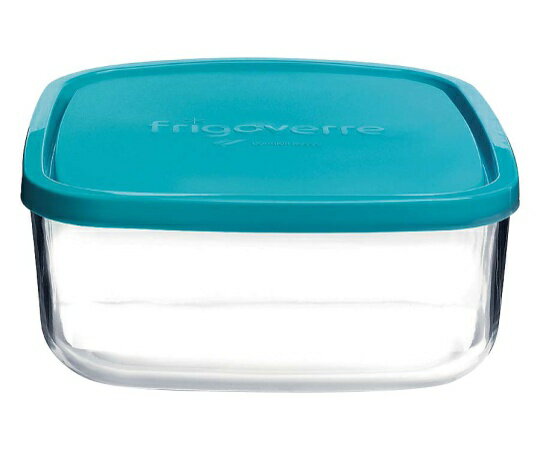 ボルミオリロッコ フリゴベールスクエアー(89106) 22cm 1個 3.88910.MA4