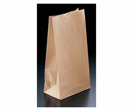 TKG 角底袋 クラフト無地 (500枚入) ♯12 1ケース(500枚入)