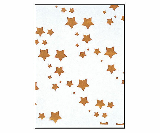 福助工業 SKバッグ 星(100枚入) 1ケース(100枚入) No.5