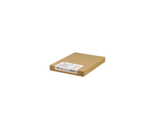 Nagatoya OA和紙　白A4　250枚　楮入奉書 1冊(250枚入) ナ-852