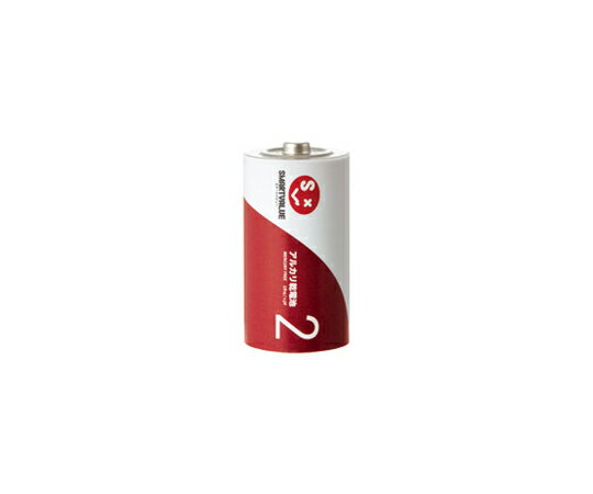 スマートバリュー アルカリ乾電池　単2　100本 1箱(10本×10箱入) N222J-2P-50