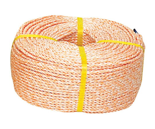 八ツ矢工業 リキロンロープ　10×200m 1個 1556