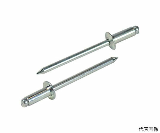 ロブテックス ブラインドリベット（スティール/スティール製） 8-12（500本入） 箱入 NS8-12 1箱(500本入)