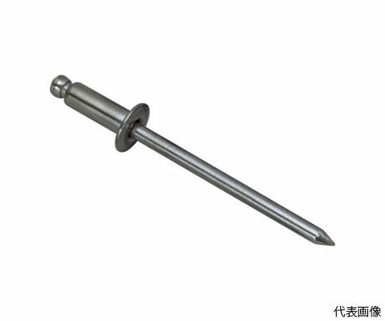 ロブテックス ブラインドリベット（スティール/スティール製） 4-6（300本入） エコBOX NS4-6EB 1箱(300本入)