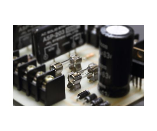 �ڻ�ü�ҹ��� ���饹�ɥҥ塼������2�����ˡ�3A��6.4��30mm FP-FGBO-250V-3A-2P-PBF 1�ѥå�(2����)