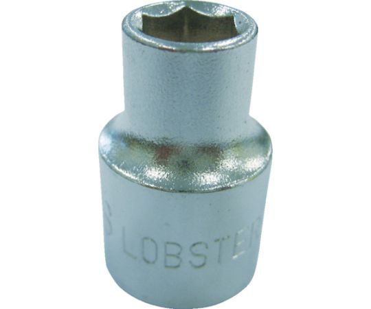 ロブテックス ソケット　6角　6.0mm　差込角9.5mm LM306S 1個