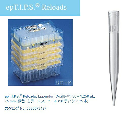 Other - エッペンドルフ ピペットチップ（epTIPS）　リロード　50〜1250μL　96本×10トレー入 1箱(96本×10トレー入)