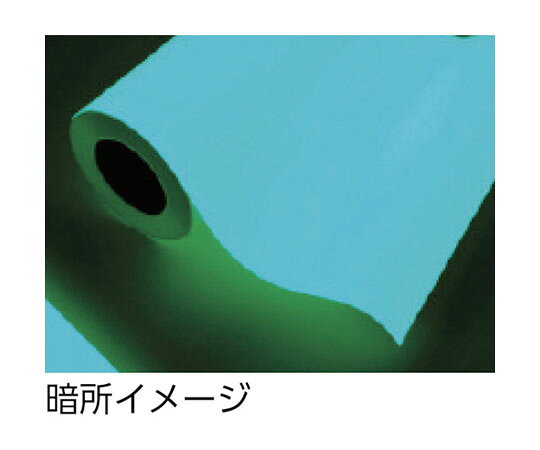 中川ケミカル 蓄光ルーナシート50mm幅×10m 0050RUNA10 1巻