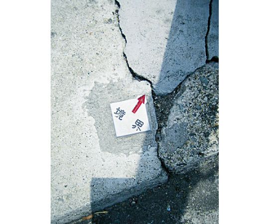 �ȥ饹���滳 ���ꥢ���饤��Ž�ռ���5���� TCL-7-1 1�ѥå�(5����)