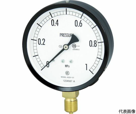 長野計器 普通形圧力計（A枠立形・φ100・G3/8B・0.0～0.60Mpa） AE20-131-0.6MP 1個
