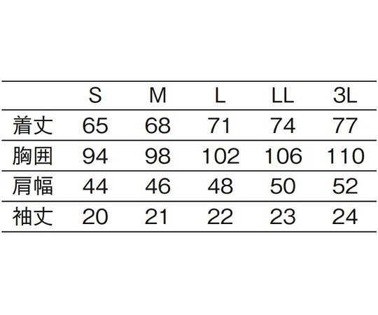 KAZEN 兼用ウォーターマジックTシャツ　ミントグリーン　LL 233-87 LL 1枚