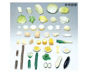 イワイサンプル フードモデル(野菜類・淡色野菜) キャベツ葉40g 8-38 1個