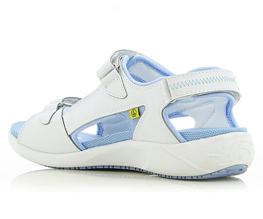 ����ƥ��� �������ѥ������륬���饤�ȥ֥롼��24.0cm��25.0cm OX4001 1­