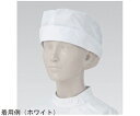 <セット販売>KAZEN 補助看護帽子 サックス フリー 180-31 フリー 1組(2枚入) 2コ