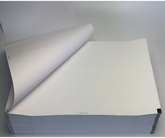 ちばら 心電図記録紙　幅210mm×長300m/折295mm（折り畳み型）　2冊入 CQW210-30-295 1箱(2冊入)