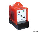 カネテック バッテリーエース 標準形 吊上能力1,000kg LME-10F-A 1台