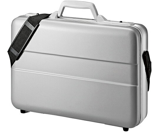 サンワサプライ ABSハードPCケース BAG-ABS5N2 1個